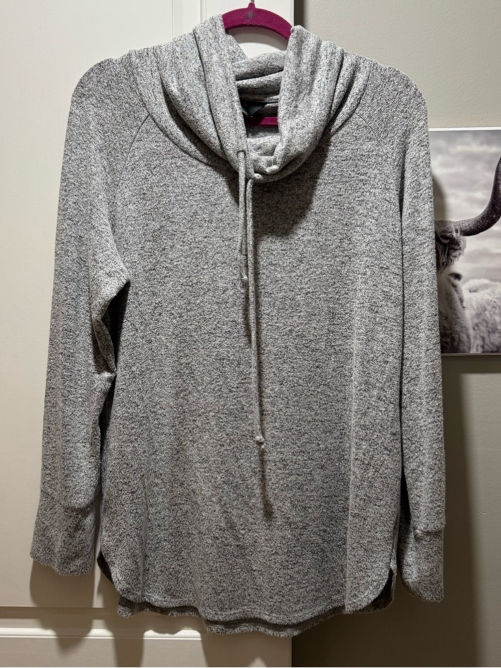 Gray cowl neck hoodie